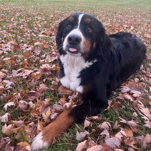 Meet your Posher, Jared